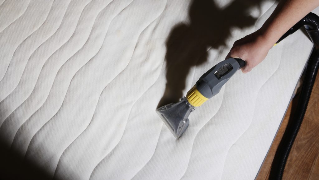 הדברת פשפש מיטה על ידי מדביר מוסמך באמצעות קיטור