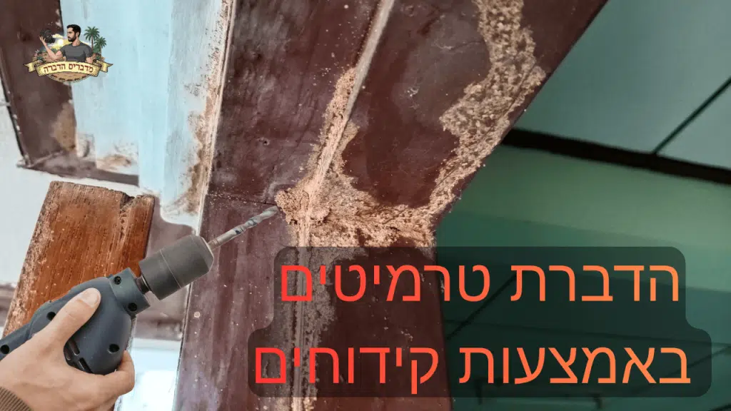 הדברת טרמיטים באמצעות קידוחים בבית על ידי מדביר מוסמך