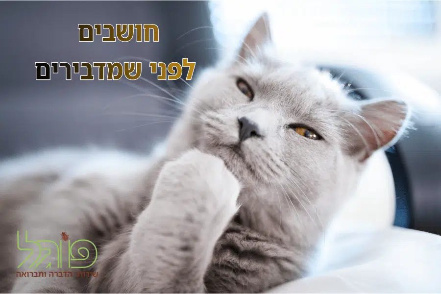 הדברה ובעלי חיים – טיפול בטוח לחיות מחמד על ידי פוגל הדברה